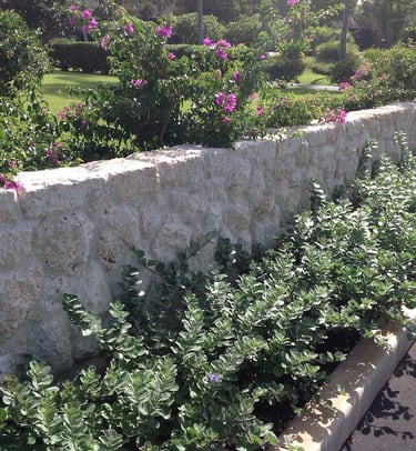 pale stone garden wall