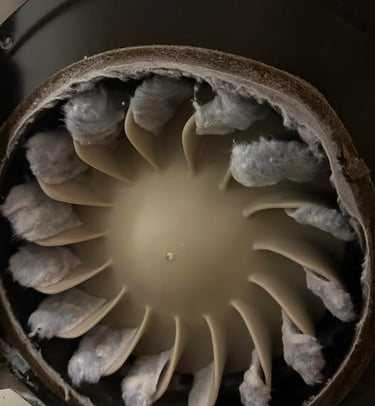 lint on fan blades