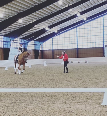 Lisa Wilcox teaching a clinic rider and their chestnut mare
