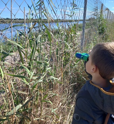 Enfant observant la nature avec des jumelles lors d'une sortie en plein air sur le Canal du Midi
