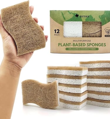 a person holding a sponge sponge sponge sponges on a white background