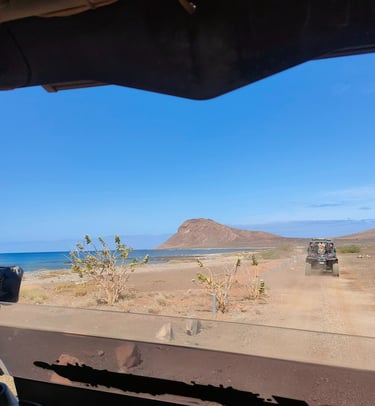 Vistas a la costa desde un buggy
