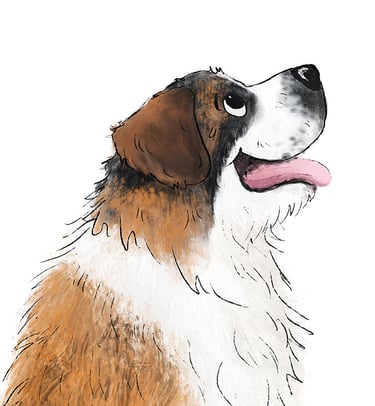 Illustration of a happy Saint Bernard dog looking up on a white background.