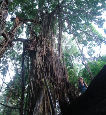 Martina with a large tree in Bali