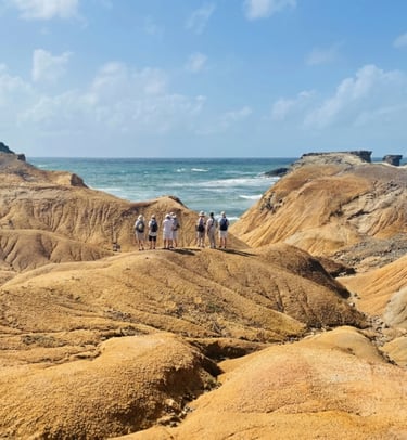 Randonnée à la Savane des Pétrifications en Martinique – paysage désertique et falaises ocre 