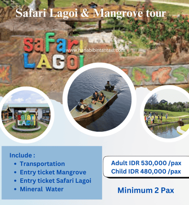 Safari Lagoi and  Mangrove Tour