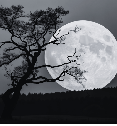 crystals-charged-by-sun-and-moon-energy