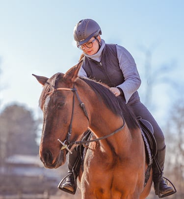 cavalli fotografia Varese
