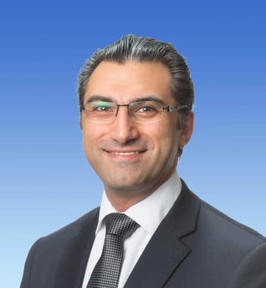 Project Management, Commercial Management, Dispute resolution, Program management, schedule