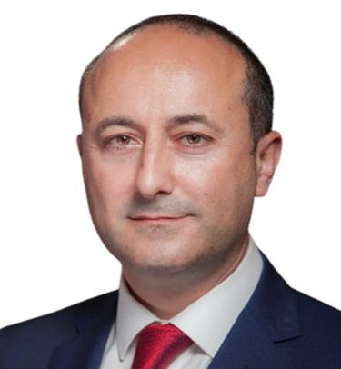 Project Management, Commercial Management, Dispute resolution, Program management, schedule