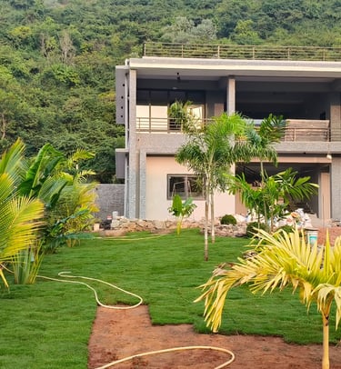 lawn grass suppliers in Andhra Pradesh