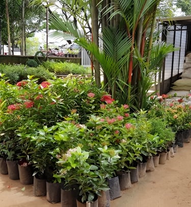 lawn grass suppliers Rajahmundry