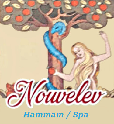 Logo NouvelEv