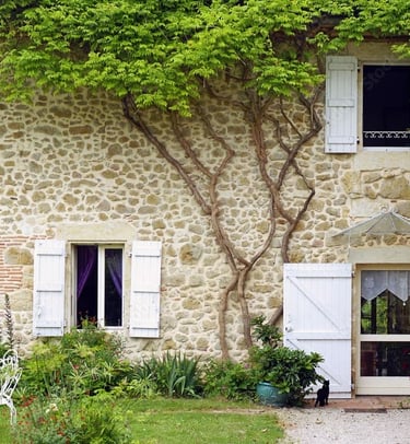 agence immobilière le vésinet chatou croissy sur seine le pecq montesson vendre maison appartement