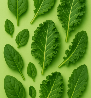 Spinach & Kale