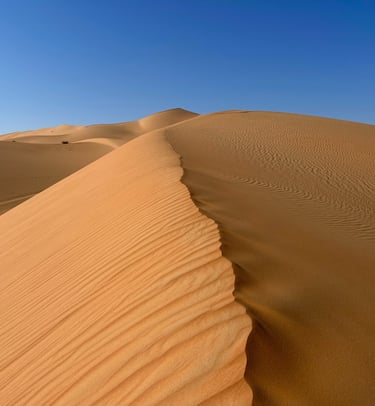 A big sand dune in the middle of Abu Dhabi desert in Liwa