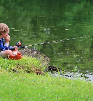 a young boy fishing on a log at the lake