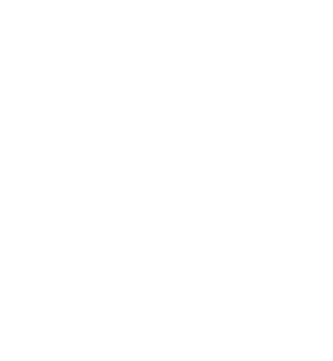 checkmark-icon