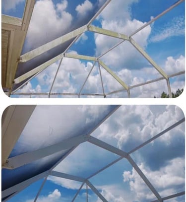 Pool cage/screen enclosure cleaning in Wesley Chapel, FL