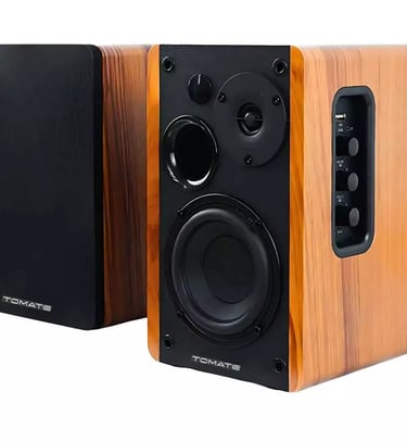 Monitor De Áudio Bluetooth 100W RMS Com Controle Remoto 
