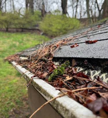 pine needles and debris laying on gutter guards impeding them from working