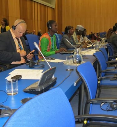 Conferencia de naciones unidas en Viena