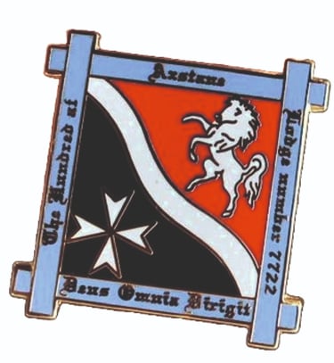 Cut to shape Pin Badge