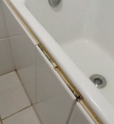 Before and after comparison of a moldy silicone seal replaced with new special silicone.