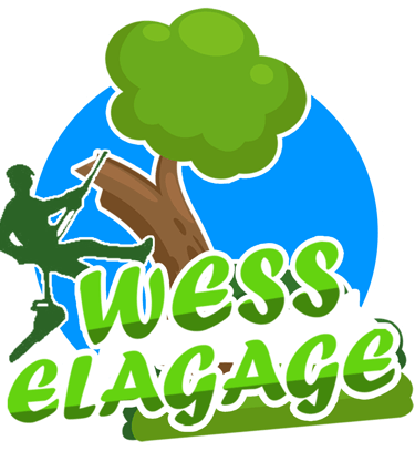 logo_wesselagage_royan