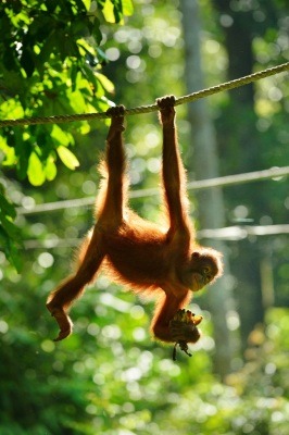 5 Days 4 Nights Kota Kinabalu, Sabah Tour & Travel Packages