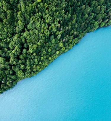 water near a forest