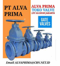 Jual Globe Valve, jual Onda Valve, dan jual Ball Valve