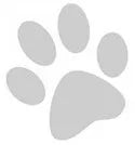 dog-paw-1 (125 x 135)-125x135-139h (1)