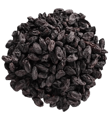 black raisin singapore