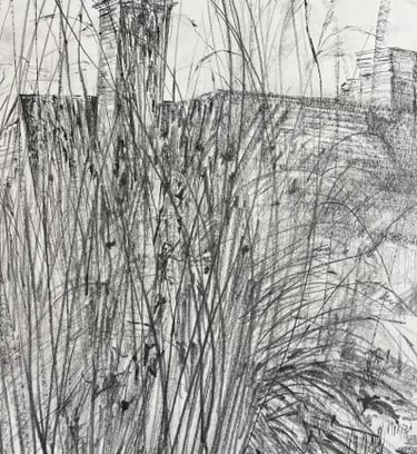 A3 Dixter diary sketchbook: 26th January grasses