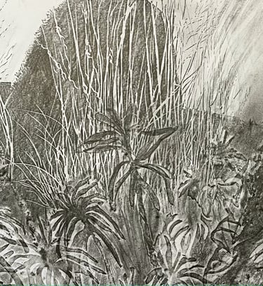 Graphite imprint of the Peacock Garden 