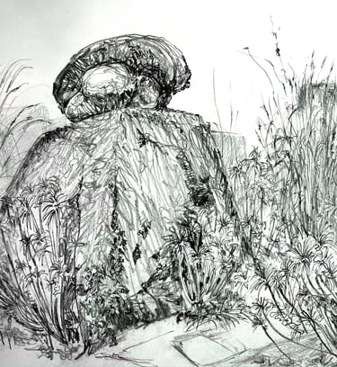 Peacock Garden study