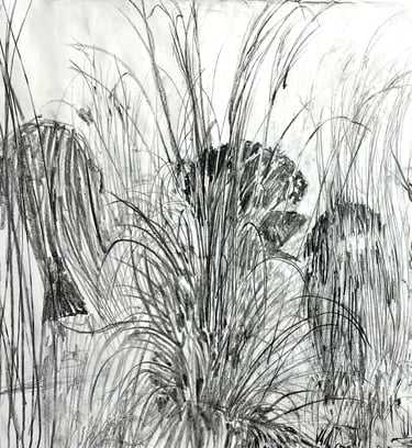 Peacock Garden study - with grasses