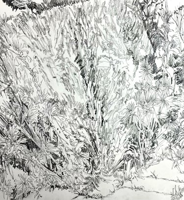 Peacock Garden study