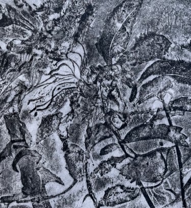 Graphite imprint: Rosa herbarium study