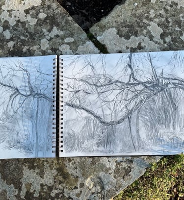 A3 Dixter Diary sketchbook; The Ancient Mulberry