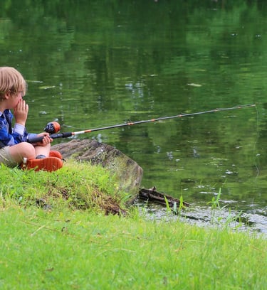 a young boy fishing on a log at the lake