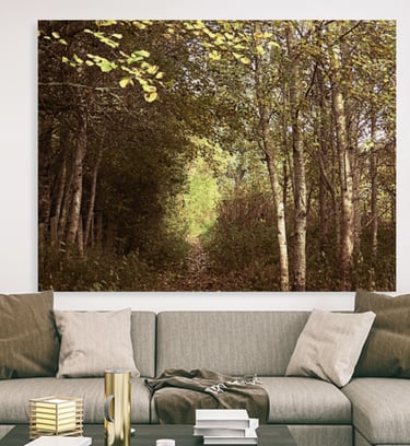 Image of a nature walk on a canvas print on a wall above a couch with throw pillows on it 