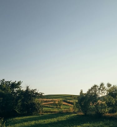 Arcadia Enviromental affordable wastewater reports Queensland 