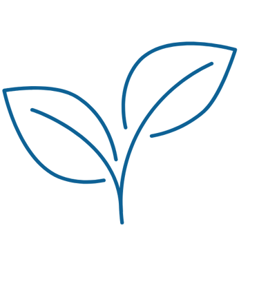 a plant with leaves on a black background