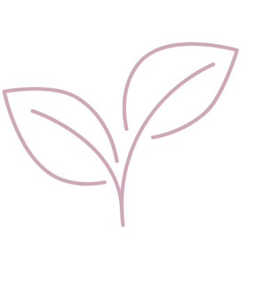 a plant with leaves on a black background