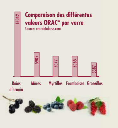 a chart of different fruits and berries on a white background