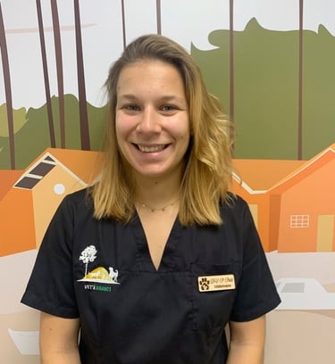 vétérinaire acupuncture biganos