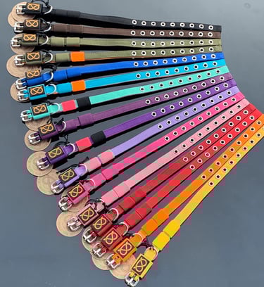 collari colorati sbt 1935