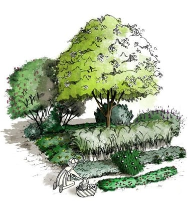 Cueillette de légumes perpétuels en forêt-jardin comestible 